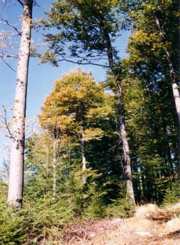 Hhenluft einatmen auf Prller und Hirschenstein